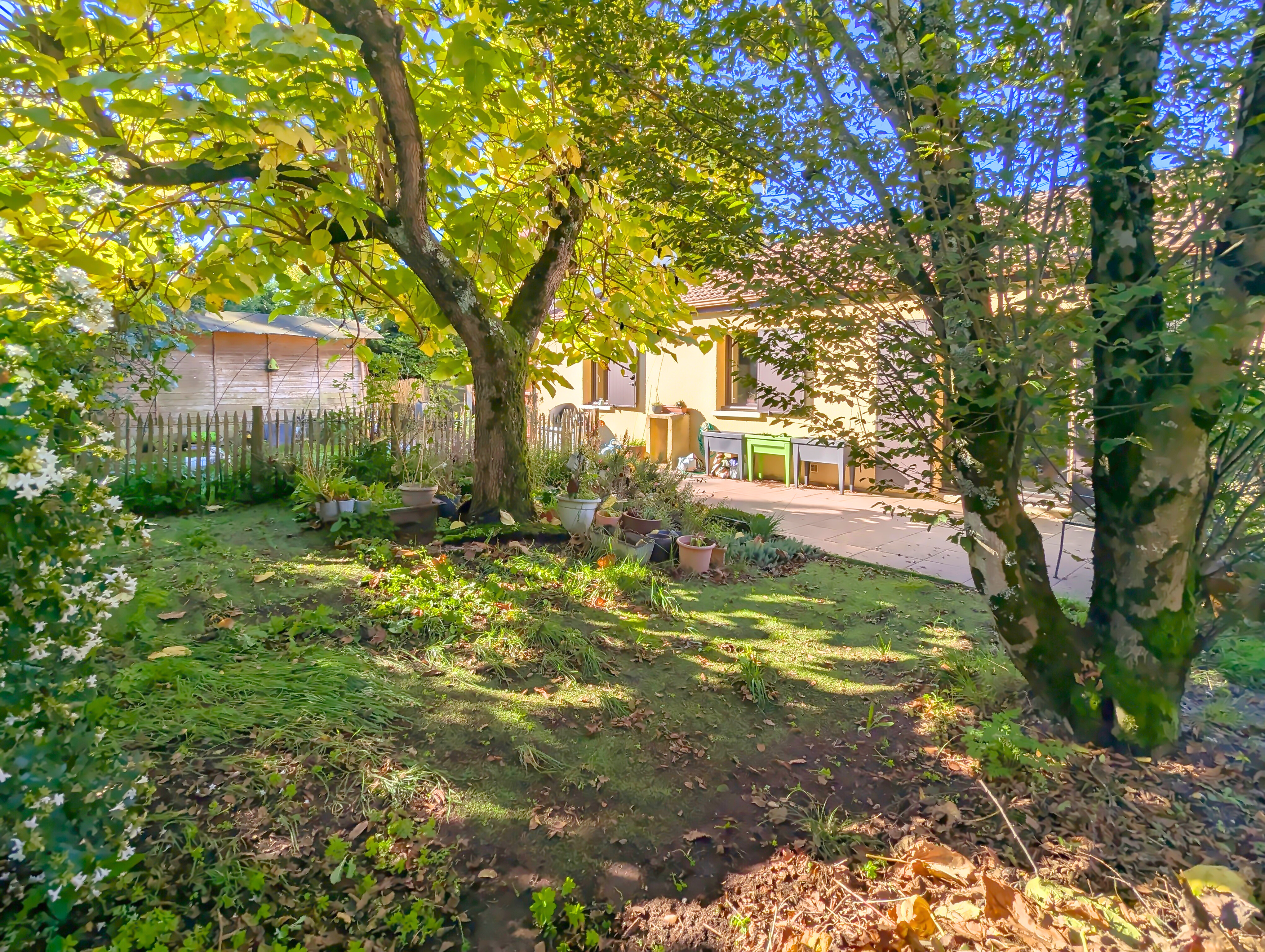 Jardin arboré de la maison familiale vendue à Mérignac